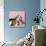 Beagle Dog Puppies-null-Photographic Print displayed on a wall