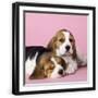 Black Frame