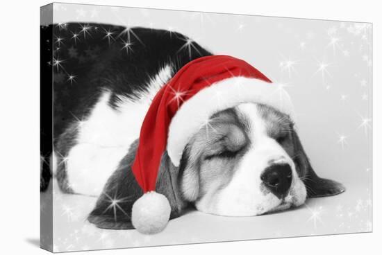 Beagle Dog Puppy Asleep Wearing a Christmas Hat-null-Stretched Canvas