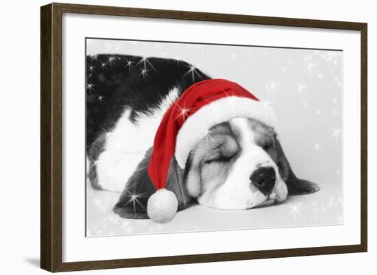 Beagle Dog Puppy Asleep Wearing a Christmas Hat-null-Framed Photographic Print