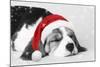 Beagle Dog Puppy Asleep Wearing a Christmas Hat-null-Mounted Photographic Print