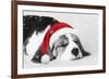 Beagle Dog Puppy Asleep Wearing a Christmas Hat-null-Framed Photographic Print