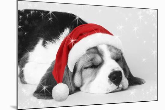 Beagle Dog Puppy Asleep Wearing a Christmas Hat-null-Mounted Photographic Print