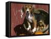 Beagle Dog Puppy-Lynn M. Stone-Framed Stretched Canvas