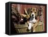 Beagle Dog Puppy-Lynn M. Stone-Framed Stretched Canvas