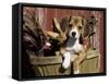 Beagle Dog Puppy-Lynn M. Stone-Framed Stretched Canvas