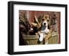 Beagle Dog Puppy-Lynn M. Stone-Framed Premium Photographic Print