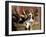 Beagle Dog Puppy-Lynn M. Stone-Framed Photographic Print