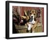 Beagle Dog Puppy-Lynn M. Stone-Framed Photographic Print