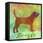 Beagle Dog-Cora Niele-Framed Stretched Canvas