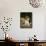 Beagle Hound Puppy-Lynn M^ Stone-Framed Stretched Canvas displayed on a wall