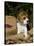 Beagle Hound Puppy-Lynn M^ Stone-Stretched Canvas