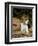 Beagle Hound Puppy-Lynn M^ Stone-Framed Photographic Print