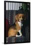 Beagle in Armchair-DLILLC-Framed Photographic Print