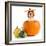 Beagle in Pumpkin-igorr-Framed Photographic Print