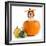 Beagle in Pumpkin-igorr-Framed Photographic Print