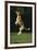 Beagle Jumping in Park-DLILLC-Framed Photographic Print