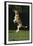 Beagle Jumping in Park-DLILLC-Framed Photographic Print