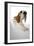 Beagle Lying Down-null-Framed Photographic Print