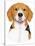 Beagle Portrait-Tomoyo Pitcher-Stretched Canvas