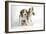 Beagle Puppies Sitting Down, One Howling-null-Framed Photographic Print