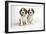 Beagle Puppies Sitting Down-null-Framed Photographic Print