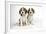 Beagle Puppies Sitting Down-null-Framed Photographic Print