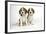 Beagle Puppies Sitting Down-null-Framed Photographic Print