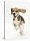 Beagle Puppy Running-Mark Taylor-Stretched Canvas