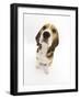 Beagle Puppy Sitting and Looking Up-Mark Taylor-Framed Photographic Print