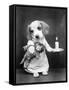 Beagle Puppy with Candle-null-Framed Stretched Canvas