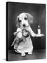Beagle Puppy with Candle-null-Stretched Canvas