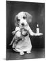 Beagle Puppy with Candle-null-Mounted Photographic Print