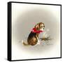 Beagle Scout-Peggy Harris-Framed Stretched Canvas