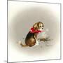 Beagle Scout-Peggy Harris-Mounted Giclee Print