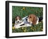 Beagle with Puppies in Grass-Lynn M. Stone-Framed Photographic Print