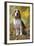 Beagle-null-Framed Photographic Print