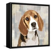 Beagle-Keri Rodgers-Framed Stretched Canvas