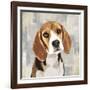 Beagle-Keri Rodgers-Framed Art Print