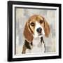 Beagle-Keri Rodgers-Framed Art Print