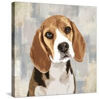 Beagle-Keri Rodgers-Stretched Canvas