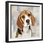 Beagle-Keri Rodgers-Framed Art Print