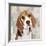 Beagle-Keri Rodgers-Framed Art Print