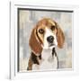 Beagle-Keri Rodgers-Framed Art Print