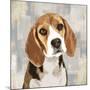 Beagle-Keri Rodgers-Mounted Art Print