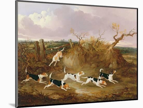 Beagles in Full Cry, 1845-John Dalby-Mounted Premium Giclee Print