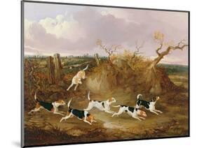 Beagles in Full Cry, 1845-John Dalby-Mounted Premium Giclee Print