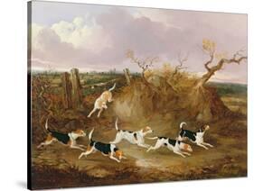 Beagles in Full Cry, 1845-John Dalby-Stretched Canvas