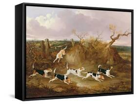 Beagles in Full Cry, 1845-John Dalby-Framed Stretched Canvas