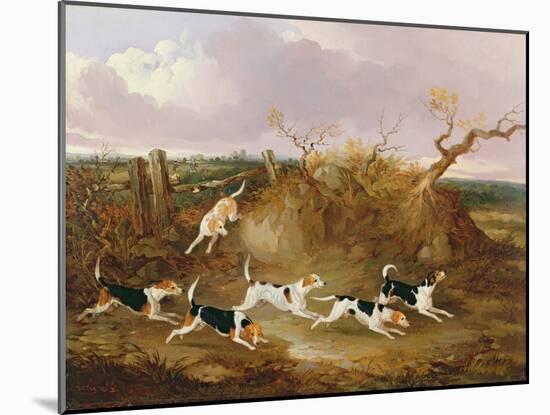 Beagles in Full Cry, 1845-John Dalby-Mounted Giclee Print